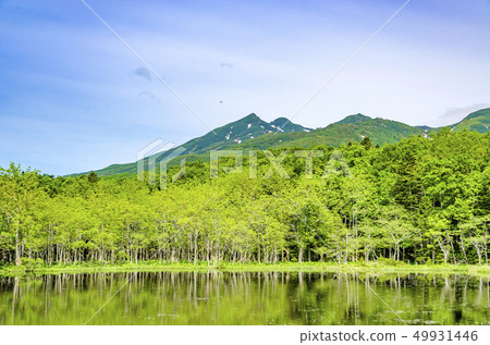 Refreshing Shiretoko Five Lakes 49931446