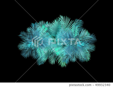 top view palm leaves tree on black background top view palm leaves tree on black background 49932340