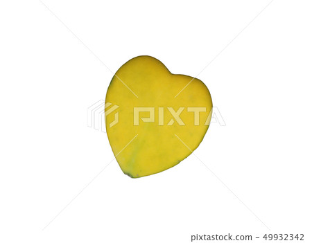 heart shaped leaf of succulent hoya flower plants heart shaped leaf of succulent hoya flower plants 49932342