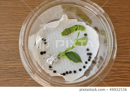 Namiageha the end of the second day 49932536