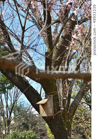 Meguro Ward Komabano公園 49933339
