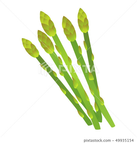 Asparagus Asparagus 49935154