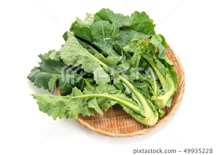 河流蔬菜 49935228