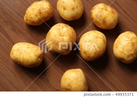 土豆 土豆 49935371