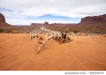 紀念碑谷景觀 49936839