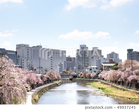 Landscape downstream from Tagawa Higashi Bridge in spring Landscape downstream from Tagawa Higashi Bridge in spring 49937245