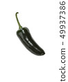 Single green jalapeno pepper isolated on white 49937386