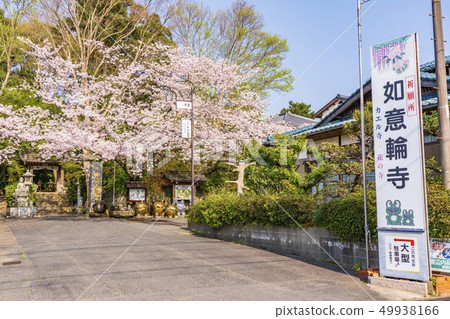 瑞金寺“青蛙寺” 49938166