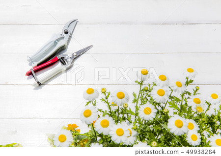 Gardening image Gardening image 49938284