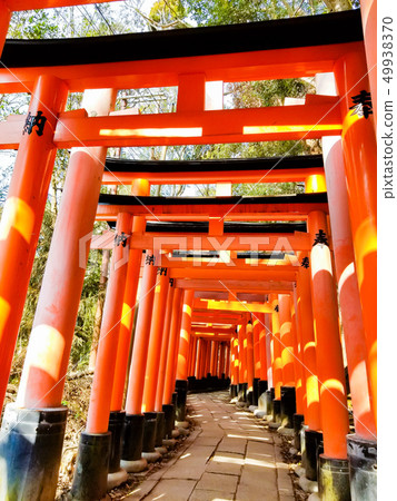 京都伏見稻荷大社 49938370
