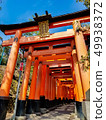 京都伏見稻荷大社 49938372
