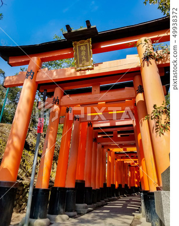 京都伏見稻荷大社 49938372