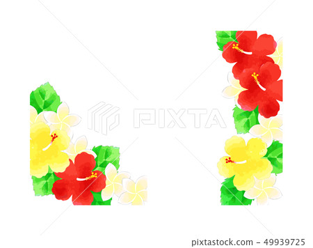 Hibiscus and frangipani card Hibiscus and frangipani card 49939725