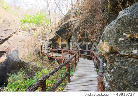 Wood bridge at Op Luang National Park, Chiang Mai 49939727