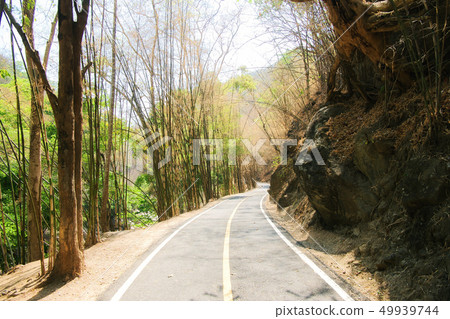 Road in the bamboo forest and have big stone 49939744