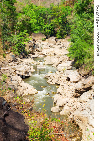 River in the forest at Op Luang National Park 49939745