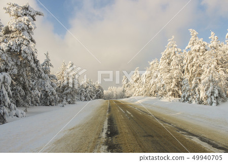 Road through winter forest Road through winter forest 49940705
