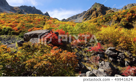 Fall dawn of autumn Fall dawn of autumn 49941624