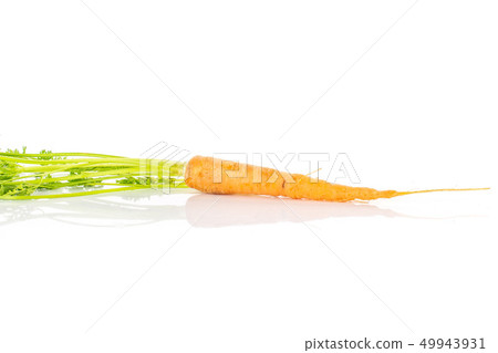 Fresh orange carrot isolated on white 49943931