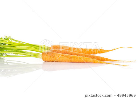 Fresh orange carrot isolated on white 49943969