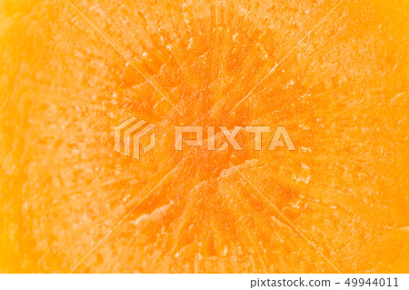 Fresh orange carrot isolated 49944011