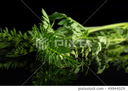 Fresh orange carrot isolated on black glass Fresh orange carrot isolated on black glass 49944029