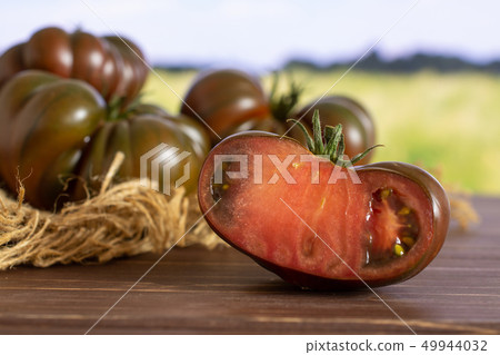 Fresh dark tomato primora with field behind Fresh dark tomato primora with field behind 49944032