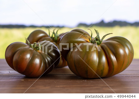 Fresh dark tomato primora with field behind Fresh dark tomato primora with field behind 49944044