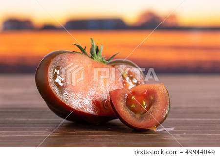 Fresh dark tomato primora with autumn field behind 49944049