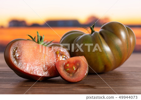 Fresh dark tomato primora with autumn field behind Fresh dark tomato primora with autumn field behind 49944073