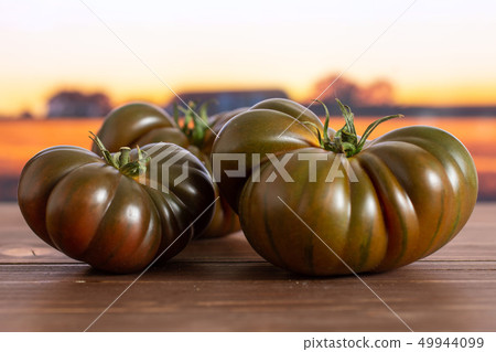 Fresh dark tomato primora with autumn field behind Fresh dark tomato primora with autumn field behind 49944099