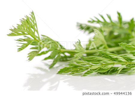 Fresh orange carrot isolated on white 49944136