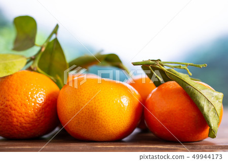Mandarine with a leaf in a jungle 49944173