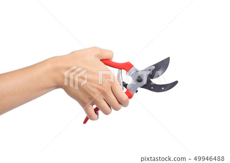 Woman hand holding an opened secateurs Woman hand holding an opened secateurs 49946488