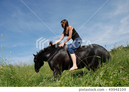 horse laid down and riding girl horse laid down and riding girl 49948109
