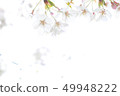 Sakura message Sakura message 49948222