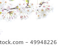 Spring color Spring color 49948226