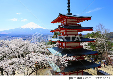 Shin-Kurayama Asama Park Sakura,富士山和五重塔 Shin-Kurayama Asama Park Sakura,富士山和五重塔 49948534