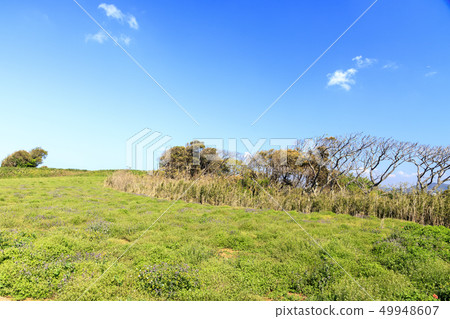 Field (spring) 49948607