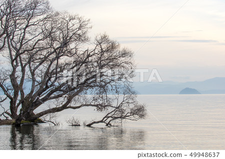 Morning of Lake Biwa 49948637