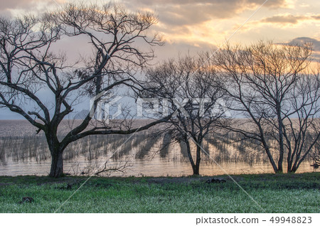 Sunrise of Lake Biwa 49948823