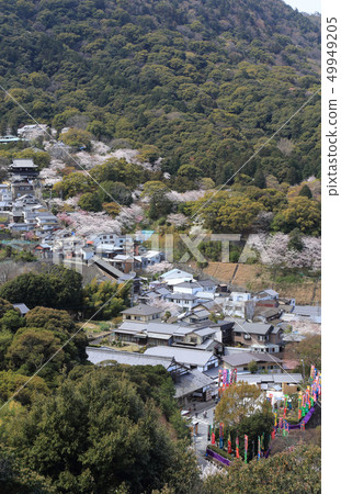 Mr. Kimura of spring (from Kanamaruza to Daimon) 49949205