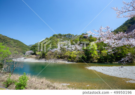The ancient Godakawa gorge of spring 49950196