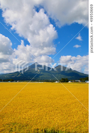 Inaho and Hiyama (Fukushima Prefecture, Inawashiro Town) 49950669