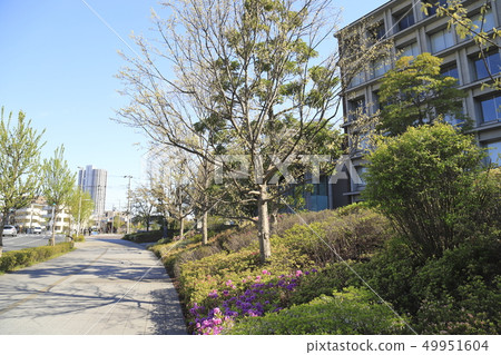 東京理科大學葛飾校區 東京理科大學葛飾校區 49951604