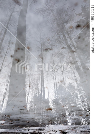 Landscape reflection from wet ice surface at forest path Landscape reflection from wet ice surface at forest path 49953112