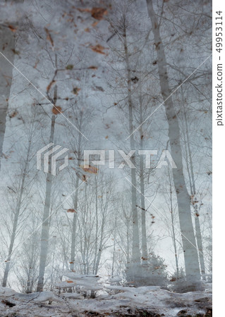 Landscape reflection from wet ice surface at forest path Landscape reflection from wet ice surface at forest path 49953114
