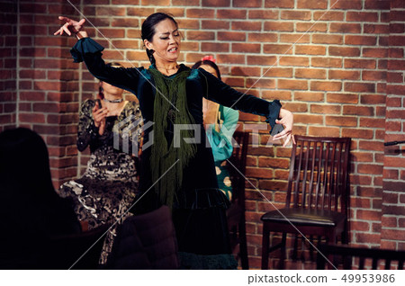 flamenco flamenco 49953986