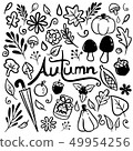 Autumn hand drawn doodle vector 49954256