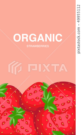 Strawberries with Leaves and Seeds Vector Flyer 49955112